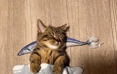 그럼 내일 제노 페라가모 풀착한거 볼수있네