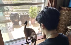 혹시 에이티즈 소통앱 이름이 뭘까??