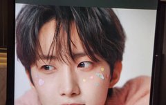 이거 인생사진 아님?