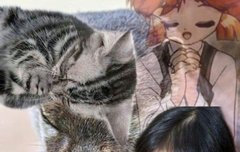 제발 마마 라인업에 드림뜨게해주세요