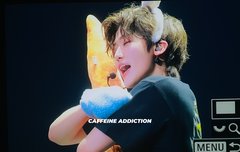 너흰 재민이 토끼파니 나냥이파니