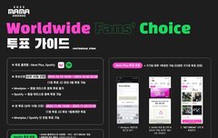 스포티 투표 가이드 사진 올려!!