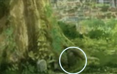 미카사 무덤이 맞아?