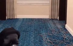 아 이 바부강쥐 어쩜좋지...ㅋㅋㅋㅋ