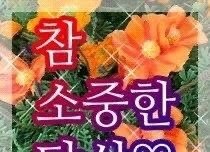 나도 오랜만에 팬톡 들림