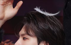 제노 머리 위에 깃털 떨어진것봐