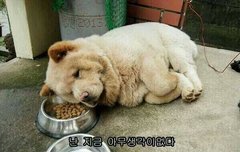 진심 쿨한척이 아니라 아무렇지도 않음