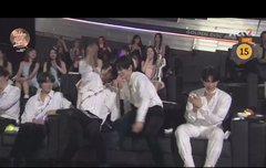 이상하다 분명 후보는 고양이 한마리였는데