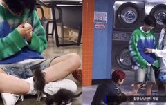 누가 희승이 인간캣닢이래