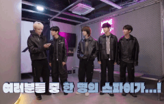 못말리는 고양이들