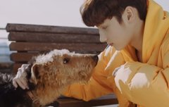 제가울고잇나요