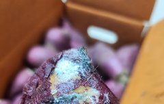 상계동 우리농산물마트 가지마세요