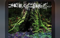 2천년… 혹은… 2만년후 너에게…