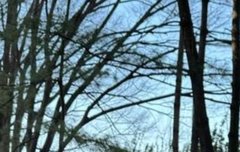 이거야이거라고내가원하던게이거잖아