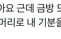 마크 이거 스포일듯