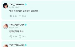 신난 형냥이와 어리둥절 동생냥이