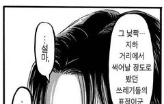 레벨리오 습격 때 리바이 표정