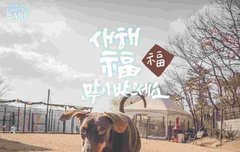 밤이도 보고싶고