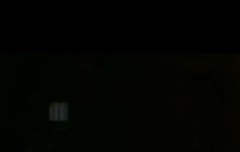 형아들한테 장난치는 정구기