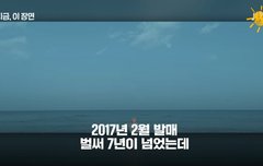 7주년 기특한 봄둥이ㅠㅜㅠㅠ