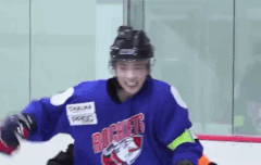 텬냥이 잡아따!