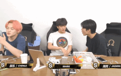 고양이들 나오네