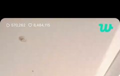 하 트제 나의 힐링조합