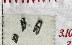 진짜 천러 발 스포도 그렇고