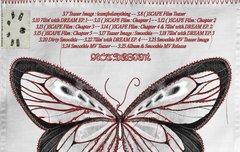 이 나비 모양 후드 나오면 이쁠거같지않냐