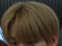 오늘따라 깜찍한 멍냥이들