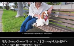 슼레듣고 힐링하자❤️