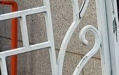 애옹이 생일날 만난 친구