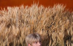 뭐지 냥줍하라는건가