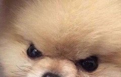 근데 휴닝카이 캐해