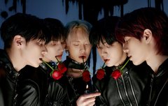 바로 이컨포 생각남