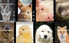 아니 우리 비니