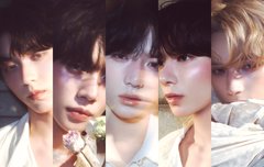 5분할 로미오들