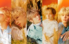 이번앨범 컨포들 오분할