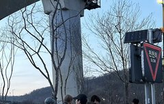 멍멍즈 한강갔나봐