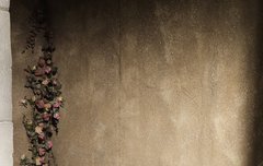 헐 로맨틱 고양이