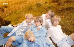 숲속요정들 같음