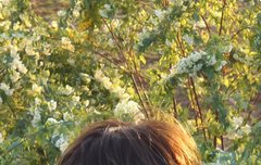 투바투 컴백 범규 장발