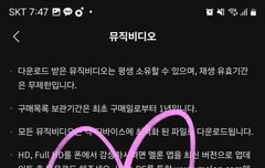 뮤직비디오 다운 완료