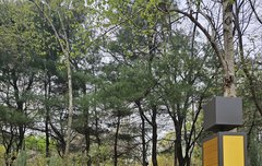 서울숲  제이홉