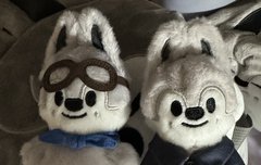 콩키주 파일럿 때랑 좀 다르네