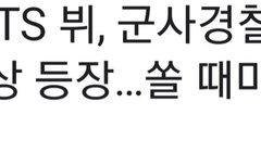 이삐들 하루종일