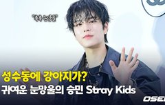 승모 댕댕이인 거 온세상이 다 안다ㅏ