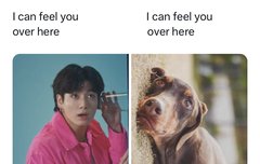 메모리즈 팔로미 렢탠롸잇