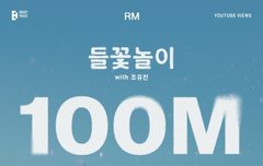 남준 들꽃놀이 1억뷰 ㅊㅊㅊㅊㅊㅊㅊ