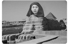 며칠전에 본건데